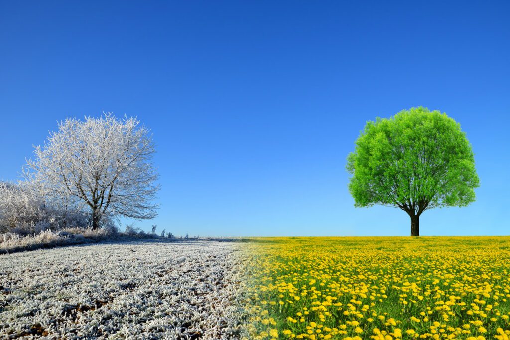 Split image of trees and colorful fields.